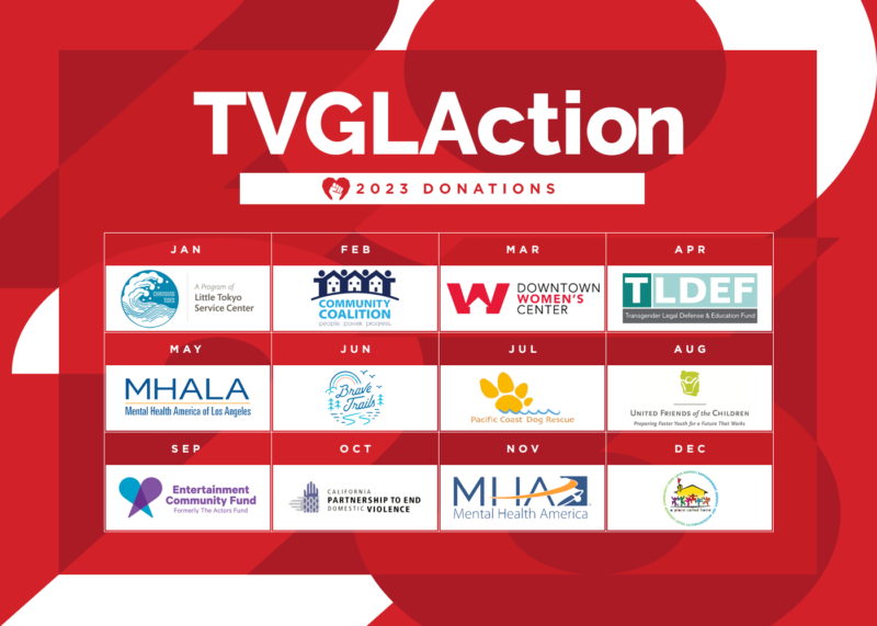 TVGLAction 2023 DONATIONS